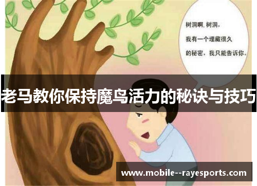 老马教你保持魔鸟活力的秘诀与技巧
