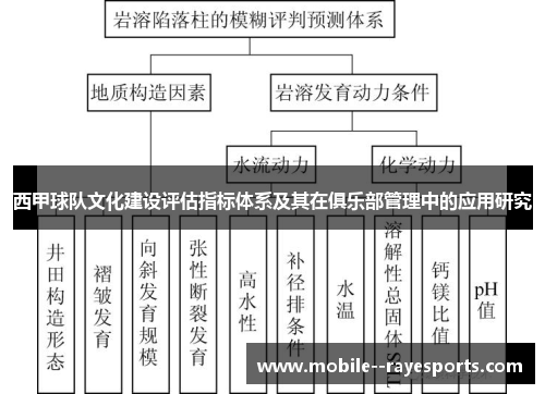 西甲球队文化建设评估指标体系及其在俱乐部管理中的应用研究 西甲球队文化建设评估指标体系及其在俱乐部管理中的应用研究