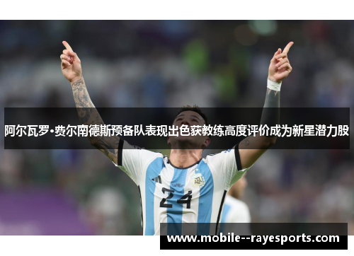 阿尔瓦罗·费尔南德斯预备队表现出色获教练高度评价成为新星潜力股